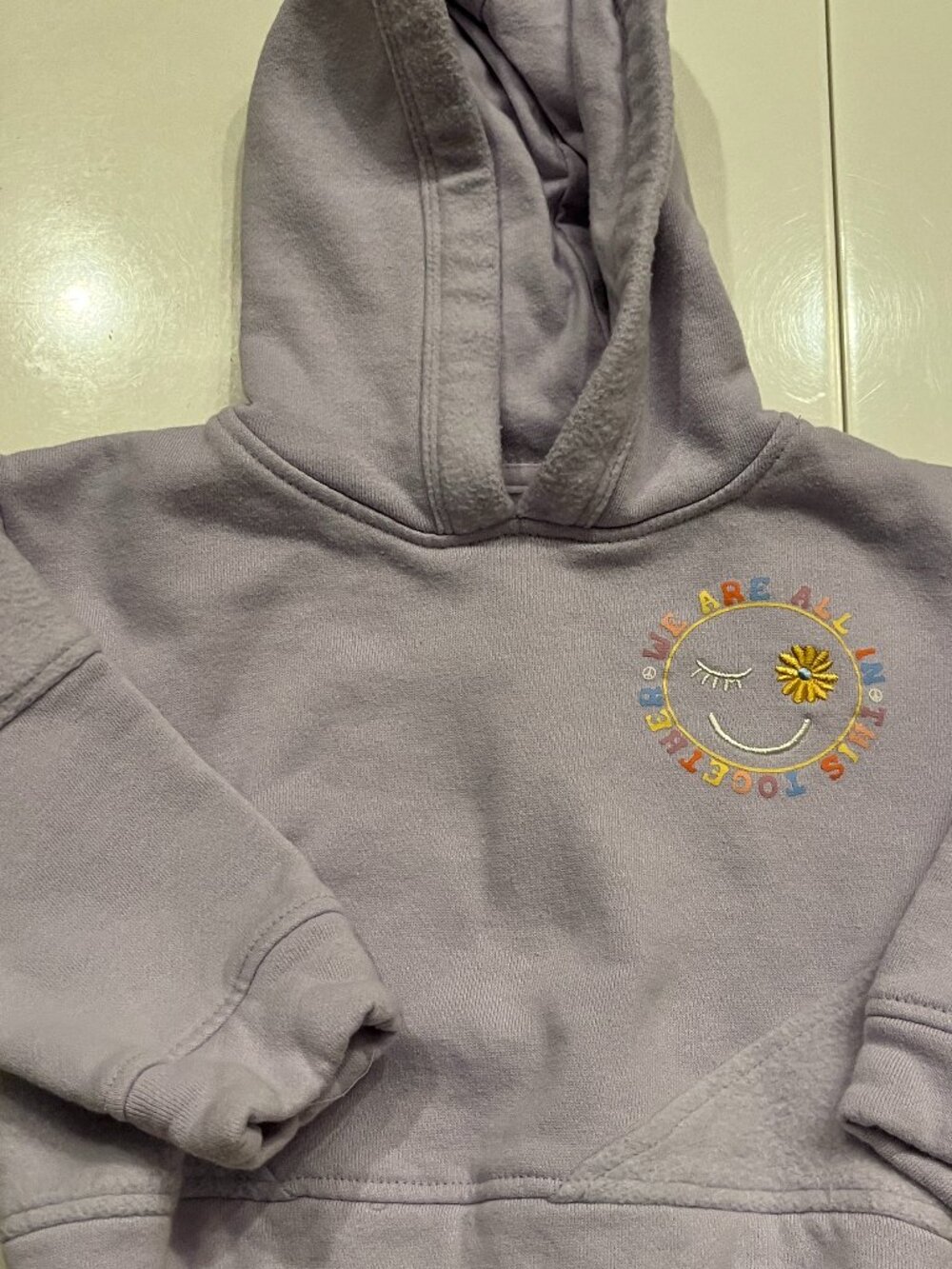 BEARPAW Embroidered Hoodie "We are all in this together" (Size 2T by BEARPAW)